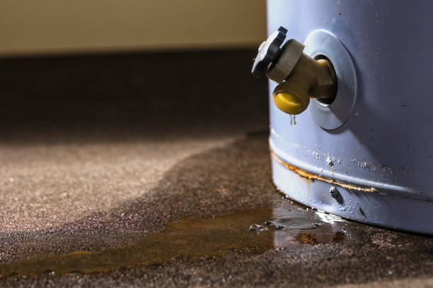 Best Sewage cleanup and water damage restoration  in Fountain Hills, AZ