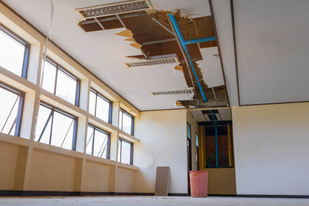Best Water damage restoration specialists  in Fountain Hills, AZ