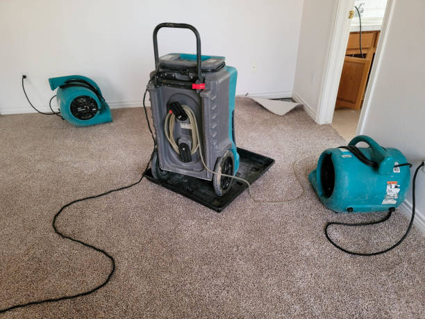Reliable Fountain Hills, AZ Water damage restoration Solutions