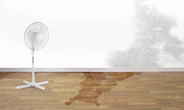 Water damage restoration mold remediation in Fountain Hills, AZ