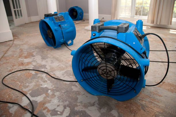 Best Flooded house restoration  in Fountain Hills, AZ
