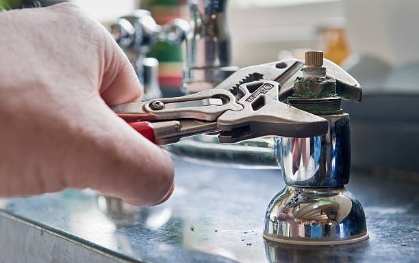 Best Flood damage cleanup  in Fountain Hills, AZ