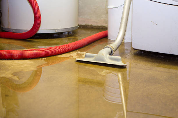 Best Commercial water damage restoration  in Fountain Hills, AZ