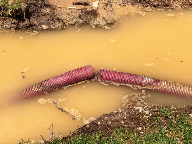 Best Water damage mitigation services  in Fountain Hills, AZ