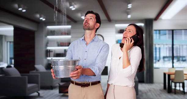 Best Local water damage restoration  in Fountain Hills, AZ